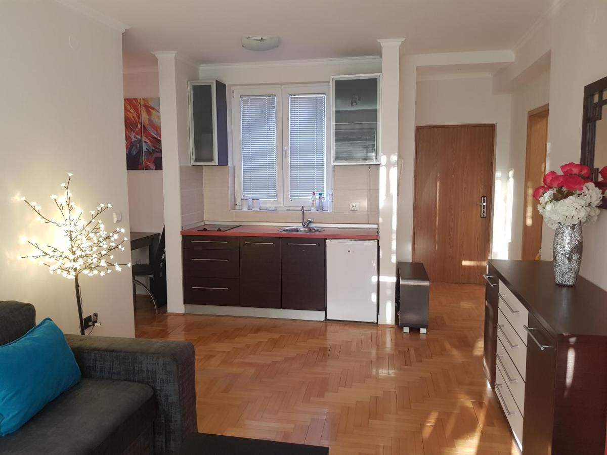 Rajiceva 5- Apartman Sa Prostranom Terasom I Garaznim Mestom Kragujevac Eksteriør bilde