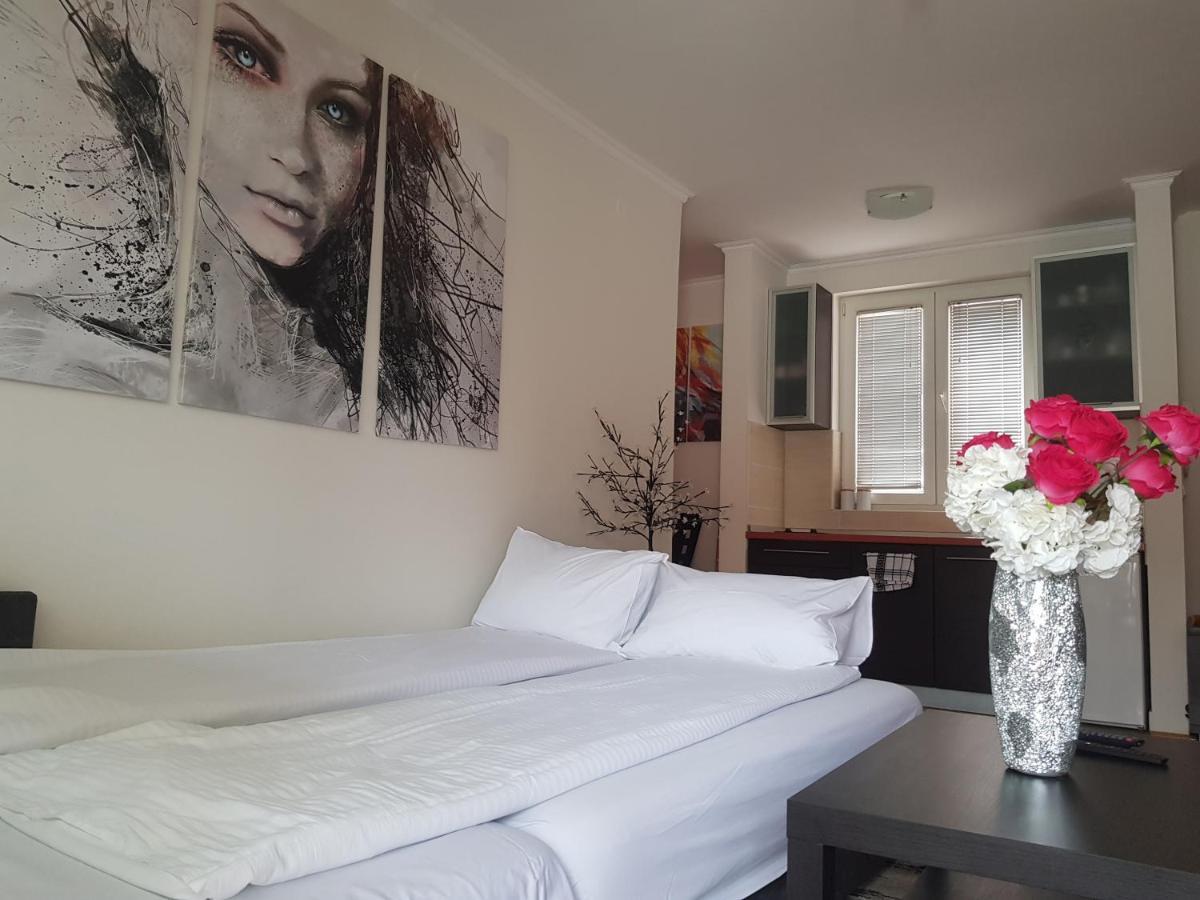 Rajiceva 5- Apartman Sa Prostranom Terasom I Garaznim Mestom Kragujevac Eksteriør bilde